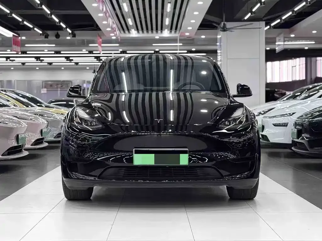 Tesla Model Y — фото 5