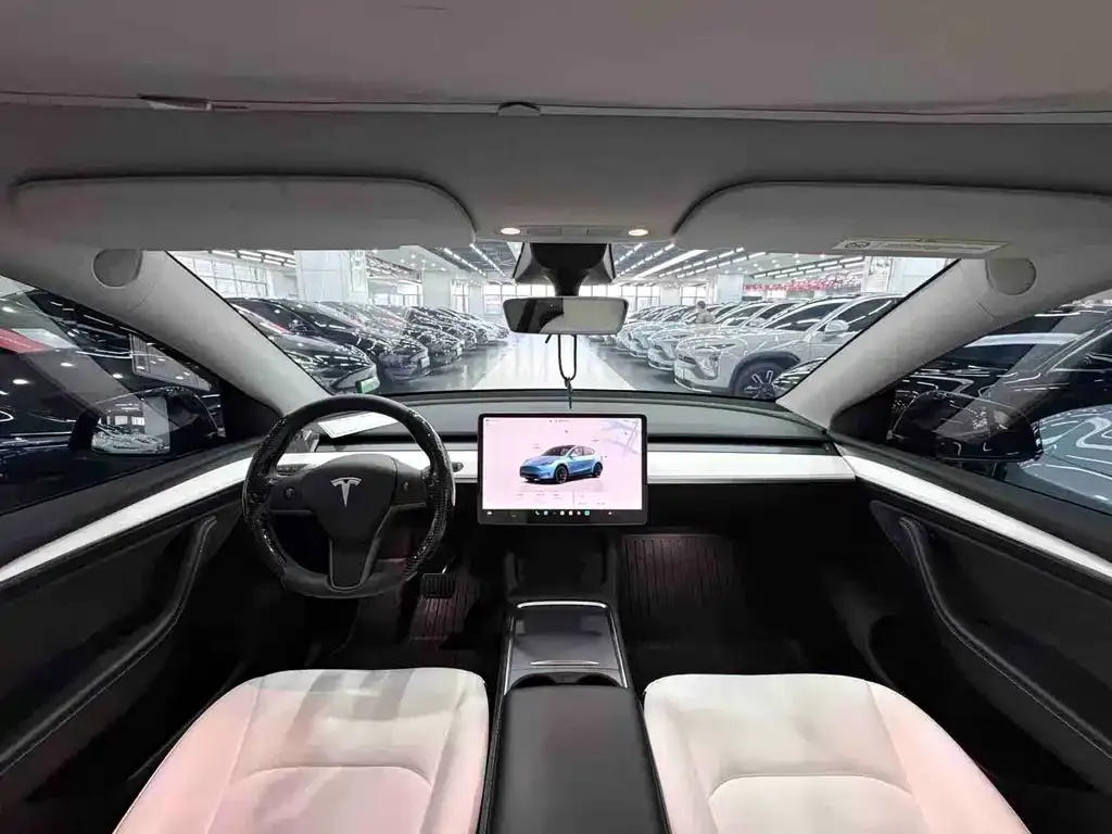 Tesla Model Y — фото 3