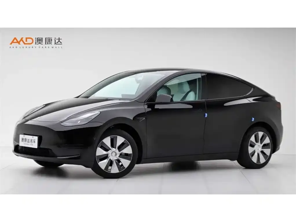 Tesla Model Y 2023 из CN, фото 1
