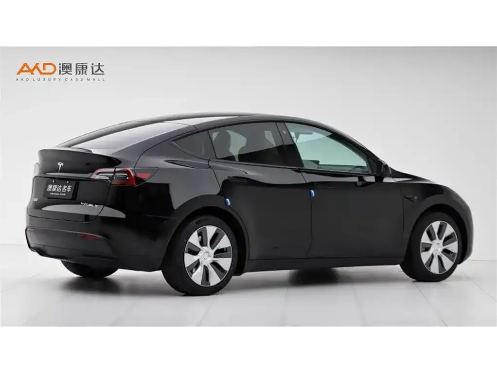 Tesla Model Y 2023 из CN, фото 4