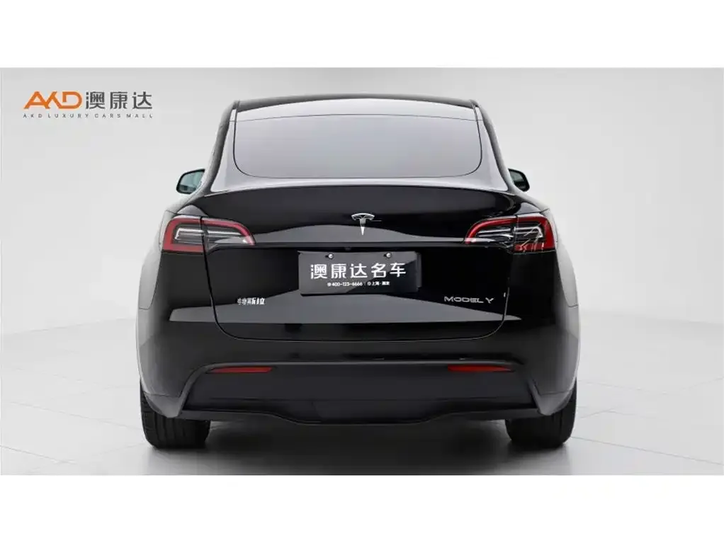 Tesla Model Y 2023 из CN, фото 10
