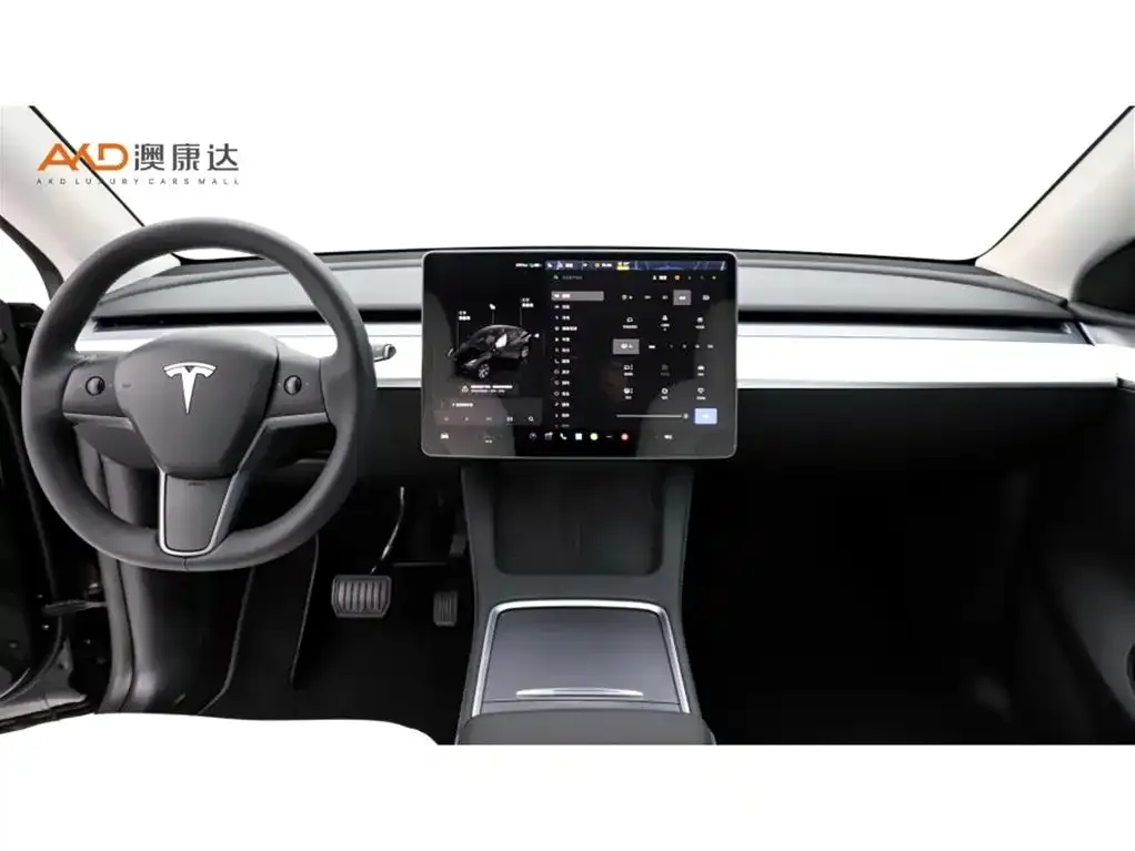 Tesla Model Y 2023 из CN, фото 6
