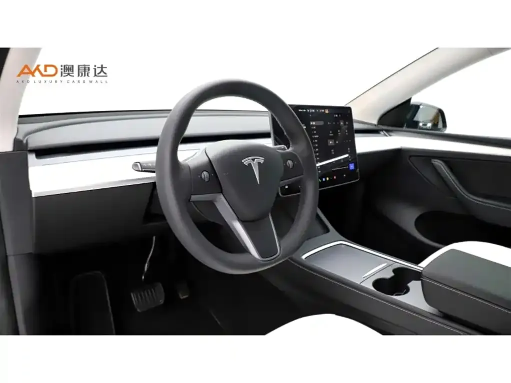 Tesla Model Y 2023 из CN, фото 3