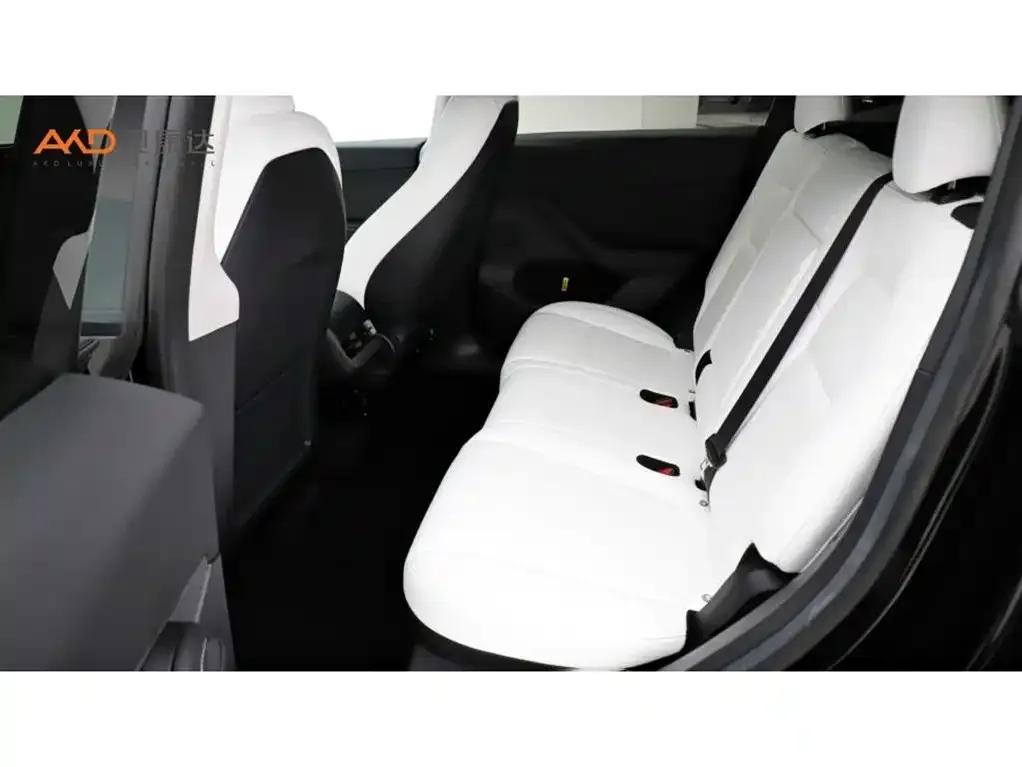 Tesla Model Y 2023 из CN, фото 8