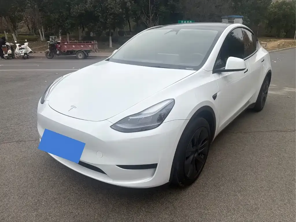 Tesla Model Y 2024 из CN, фото 1