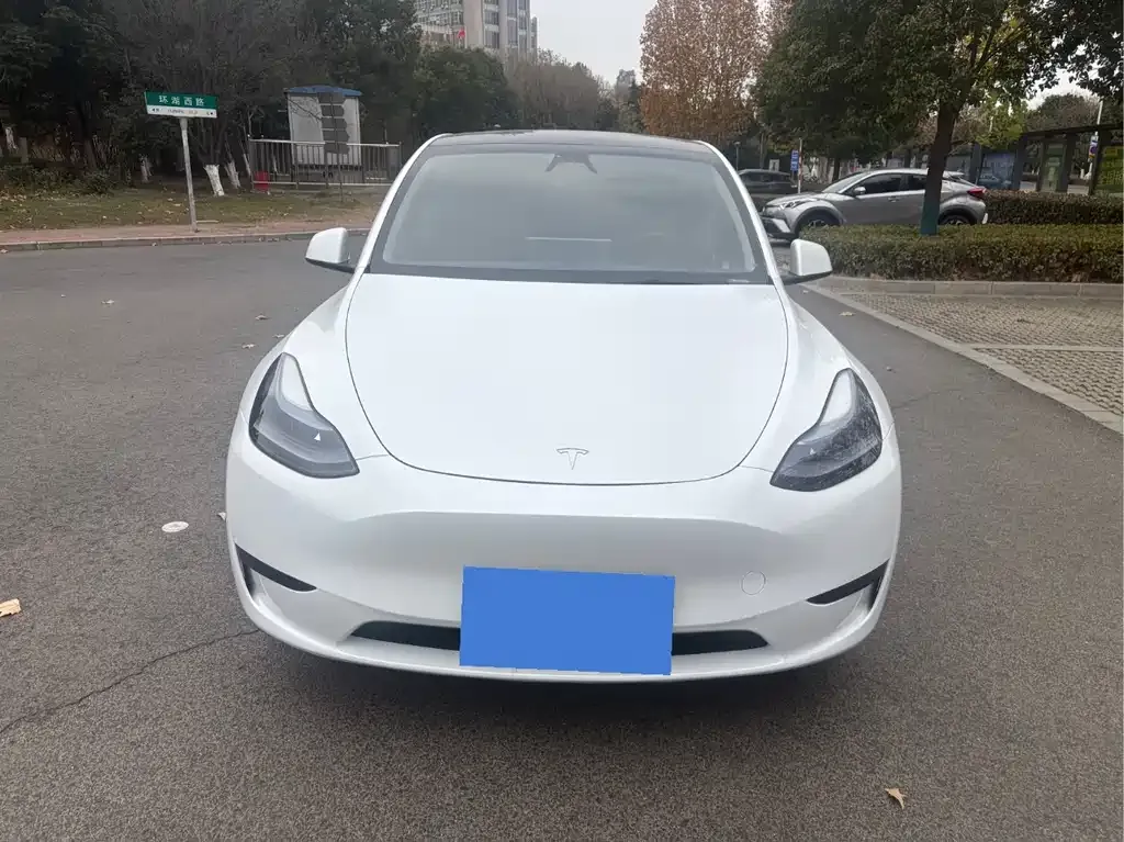 Tesla Model Y 2024 из CN, фото 6
