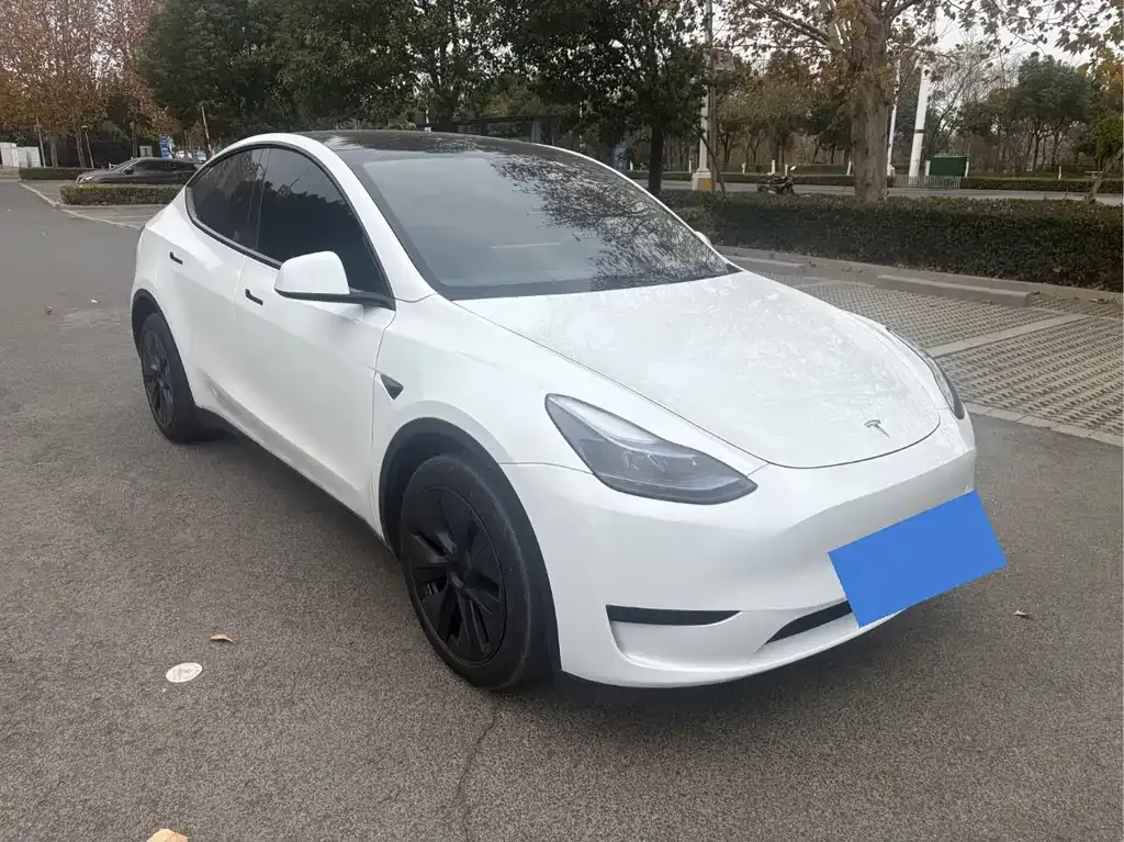 Tesla Model Y 2024 из CN, фото 9