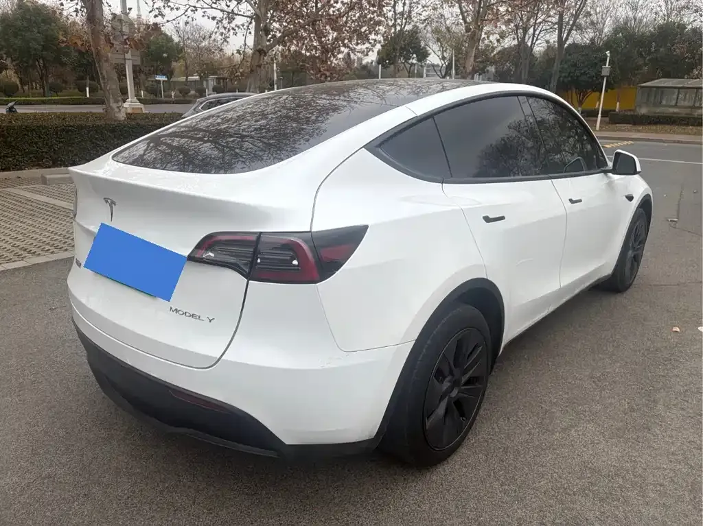 Tesla Model Y 2024 из CN, фото 10