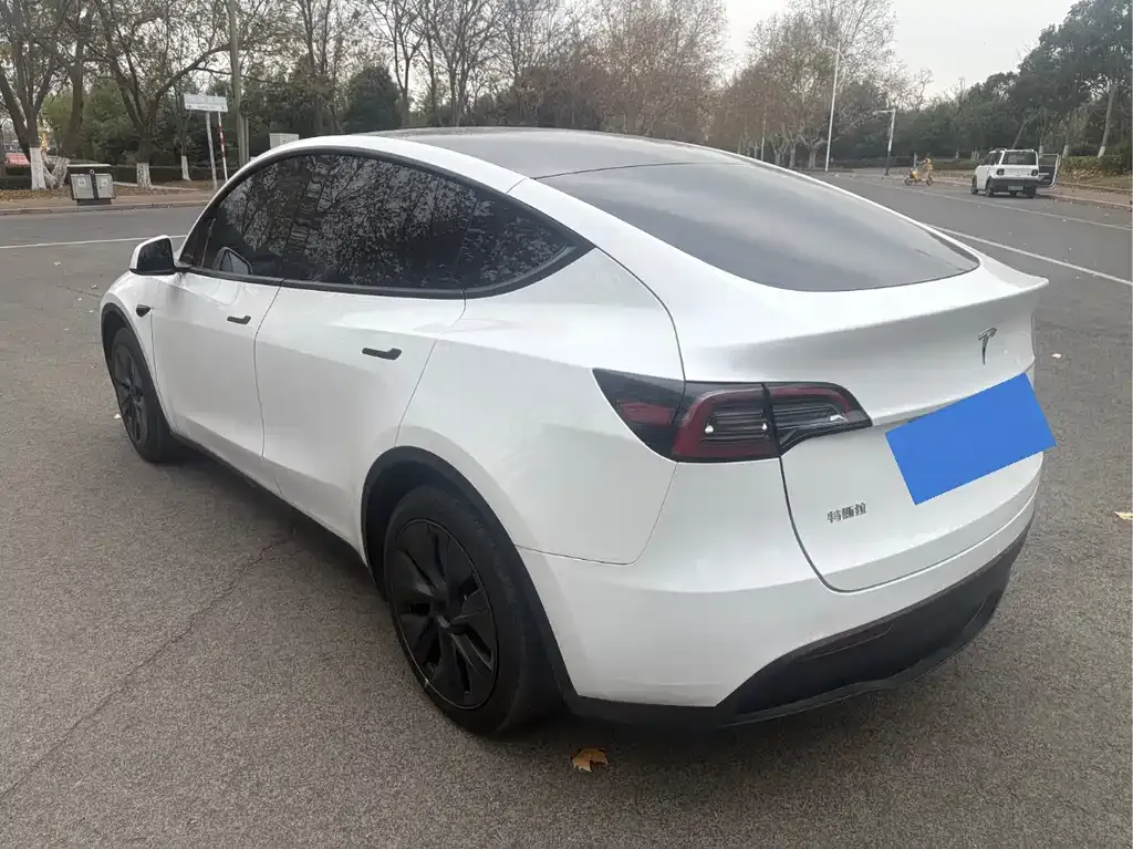 Tesla Model Y 2024 из CN, фото 5