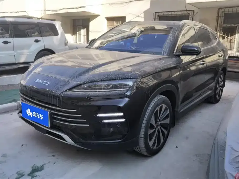 BYD PLUS New Energy — фото 1