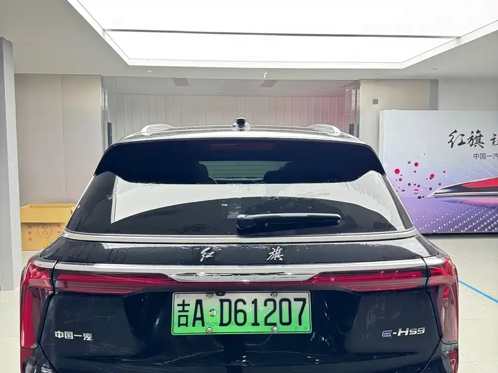 Hongqi E-HS9 — фото 5