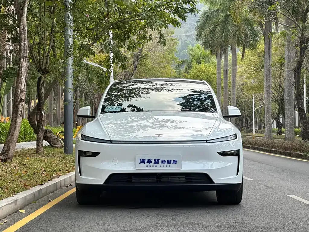 Tesla Model Y L — фото 4