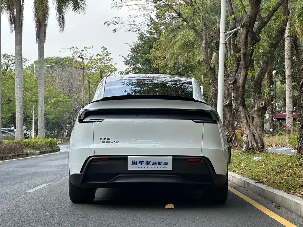 Tesla Model Y L — фото 10