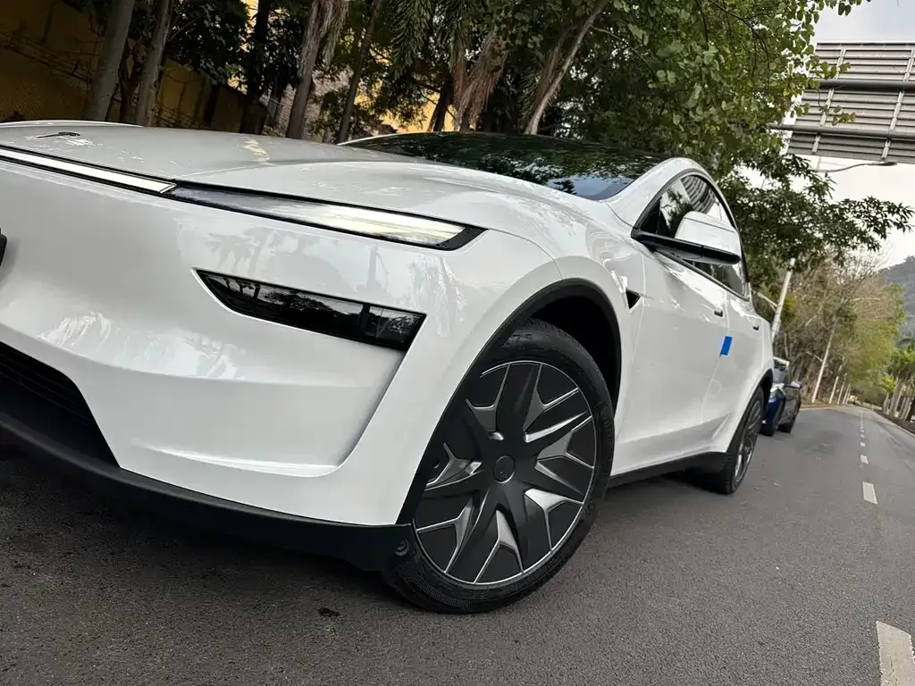 Tesla Model Y L — фото 6