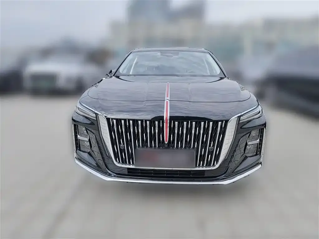 Hongqi H5 2024 из CN, фото 5