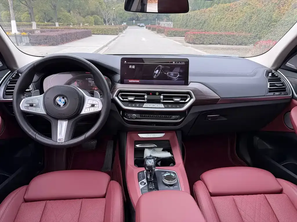 BMW X3 2023 из CN, фото 10