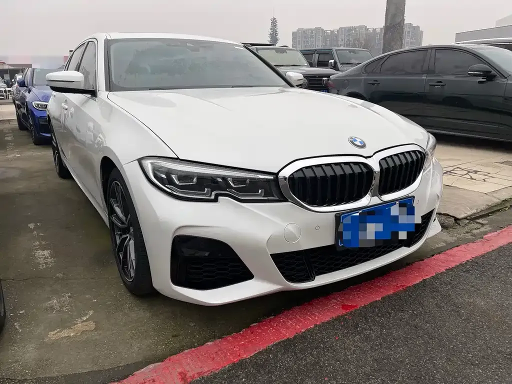 BMW 3 Series 2021 из CN, фото 8