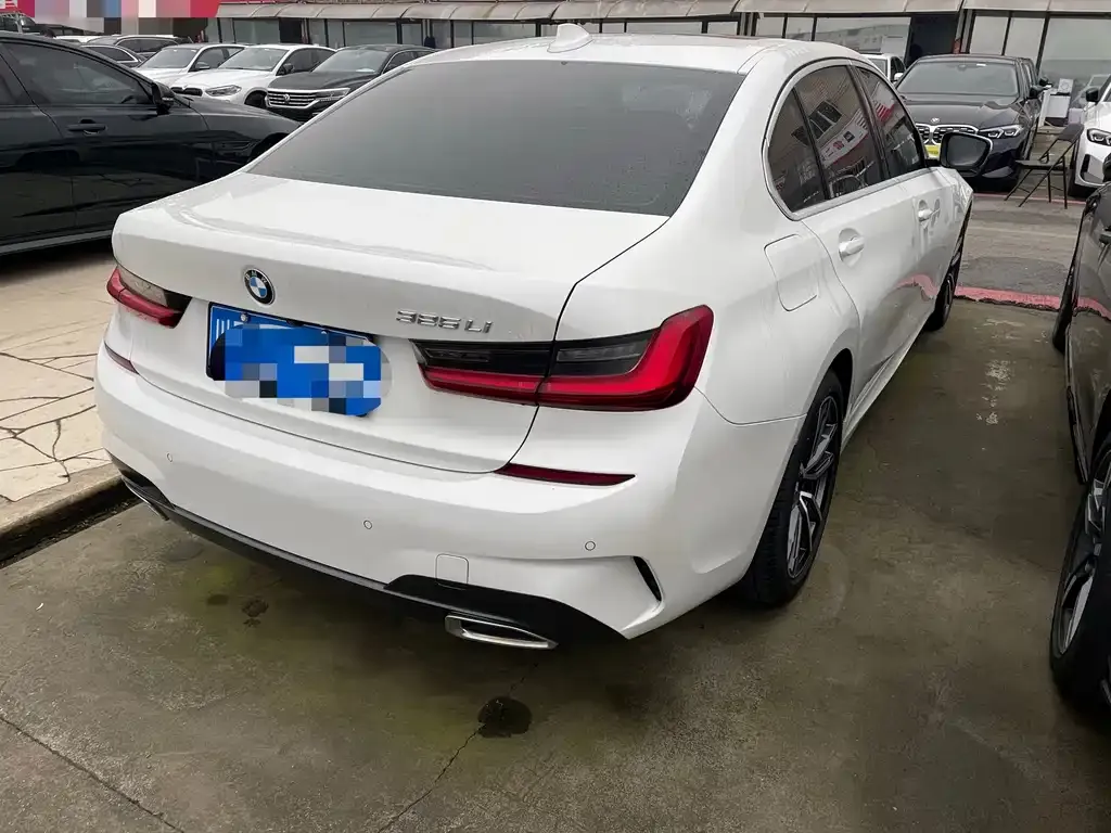 BMW 3 Series 2021 из CN, фото 4