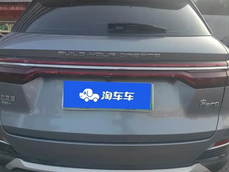 BYD Pro New Energy 2023 из CN, фото 6