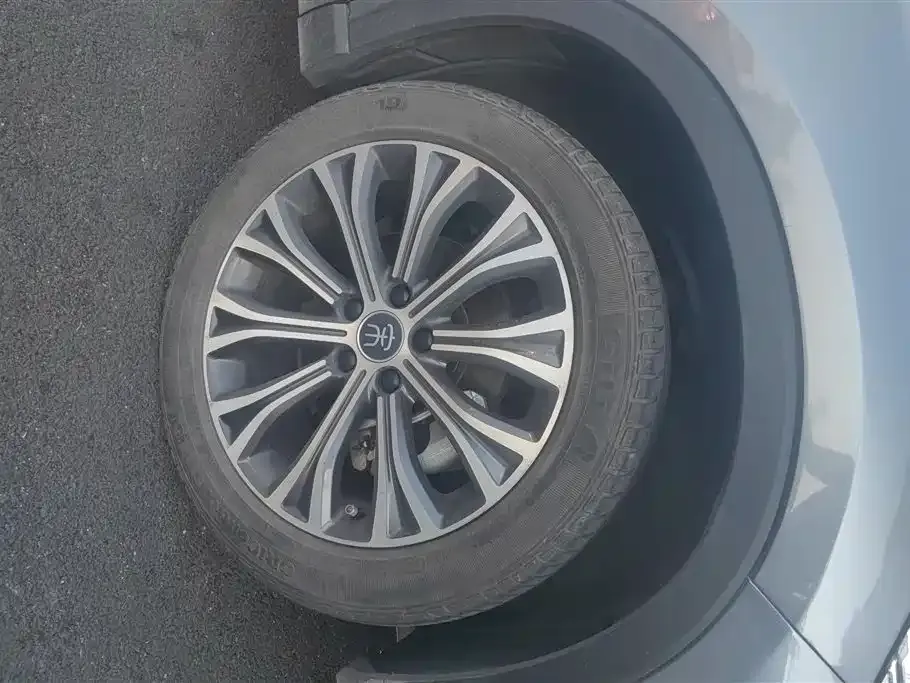 BYD Pro New Energy 2023 из CN, фото 7