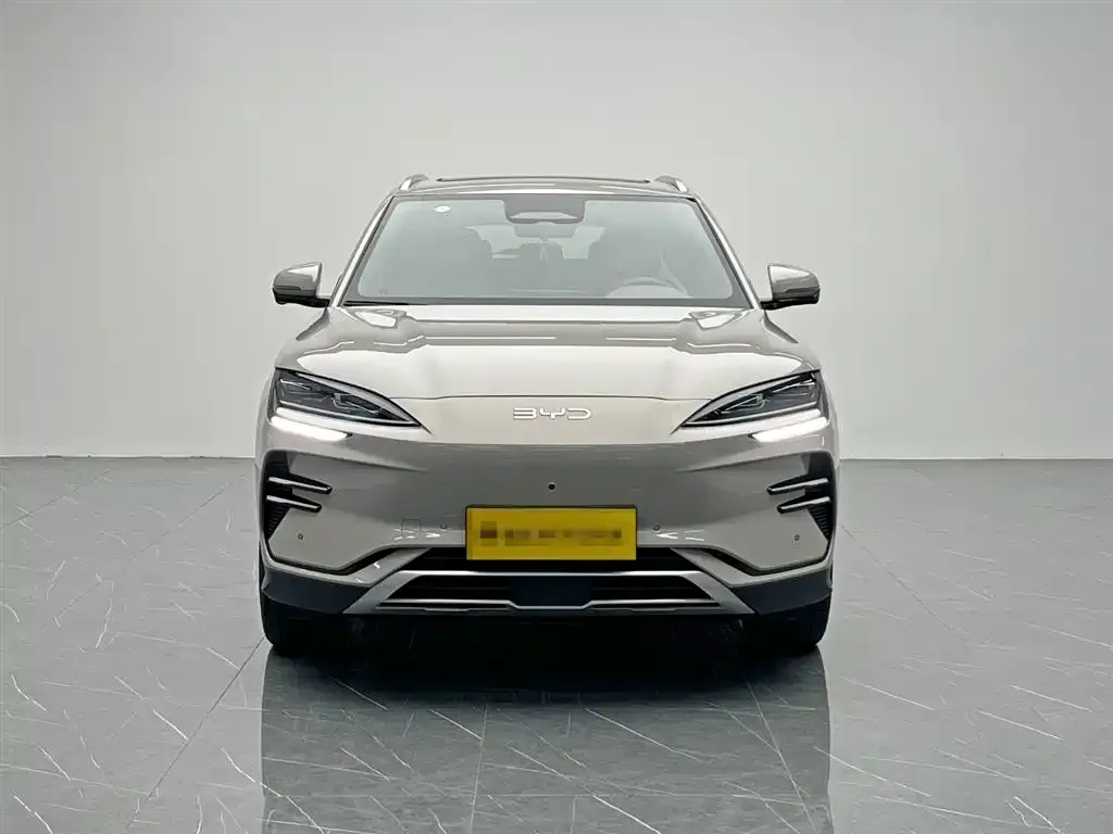 BYD PLUS New Energy 2025 из CN, фото 4