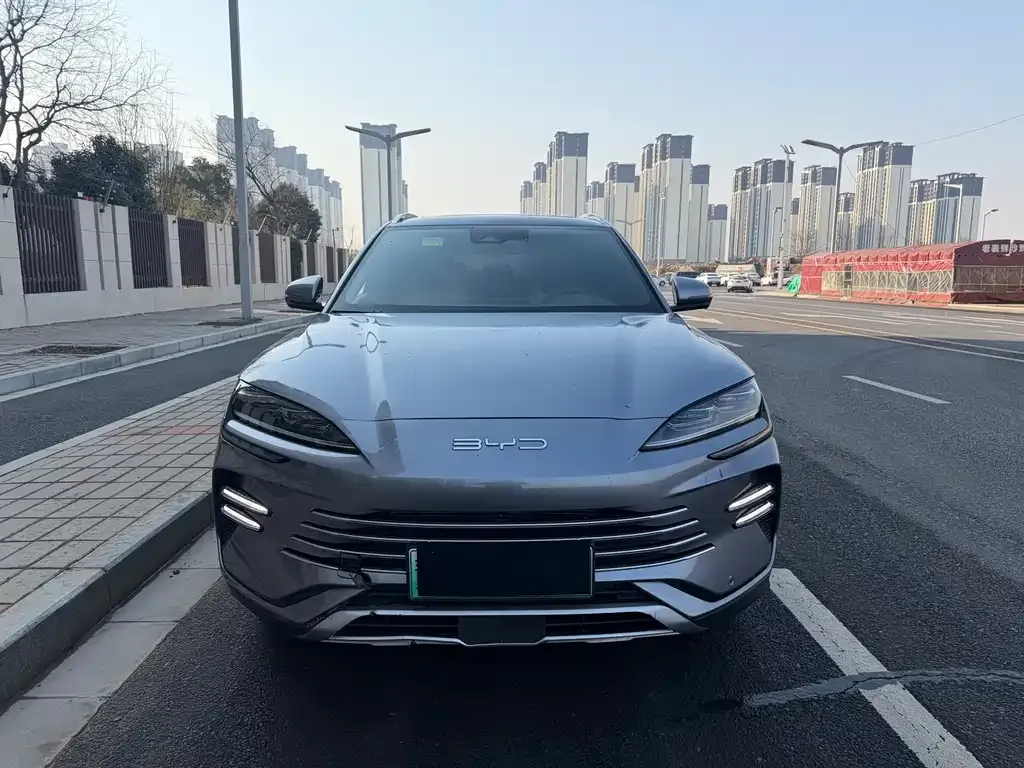 BYD PLUS New Energy — фото 8