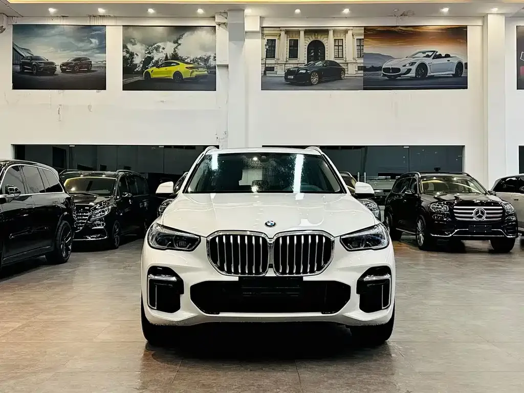 BMW X5 2022 из CN, фото 4