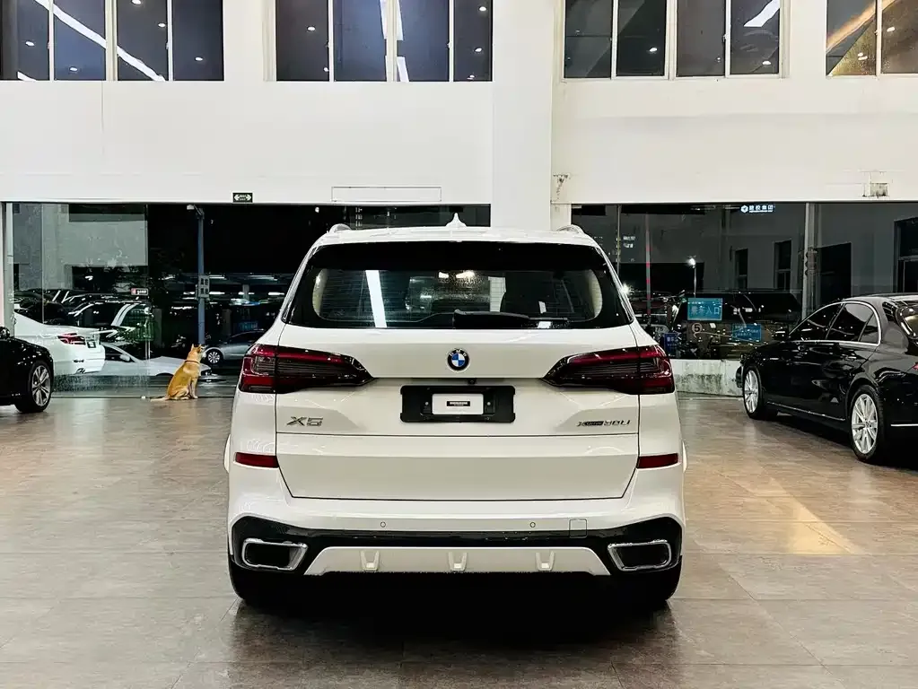 BMW X5 2022 из CN, фото 8