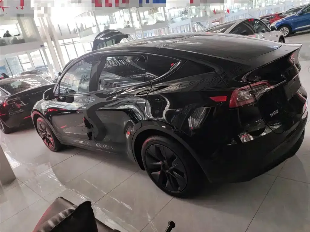 Tesla Model Y 2023 из CN, фото 6