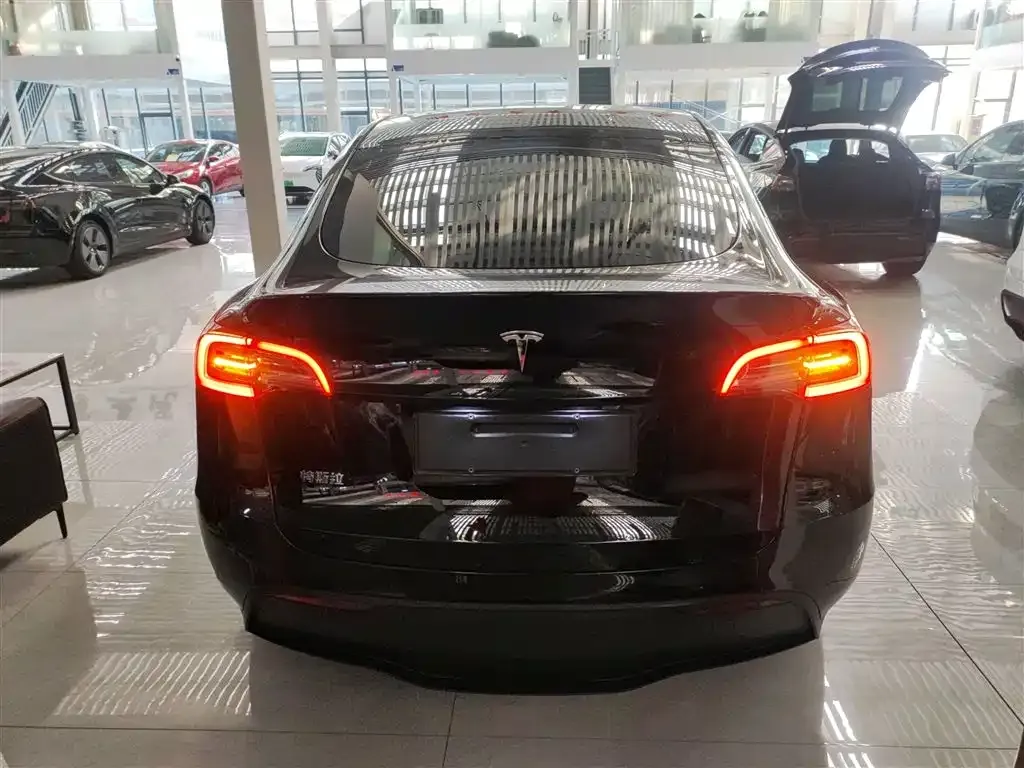 Tesla Model Y 2023 из CN, фото 10