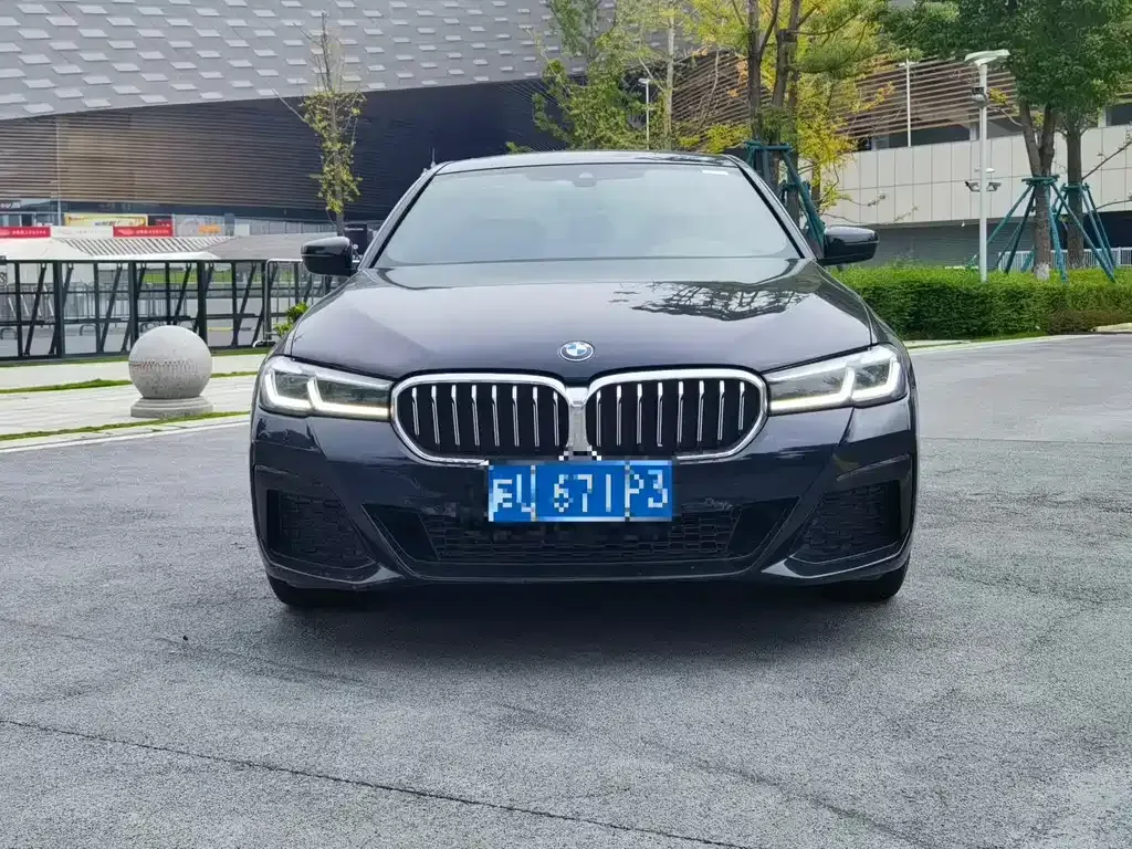 BMW 5 Series 2022 из CN, фото 6