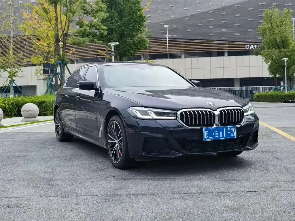 BMW 5 Series 2022 из CN, фото 8