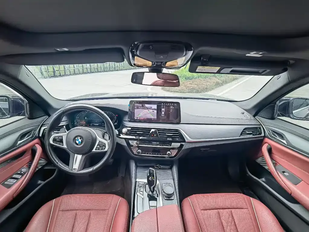 BMW 5 Series 2022 из CN, фото 4