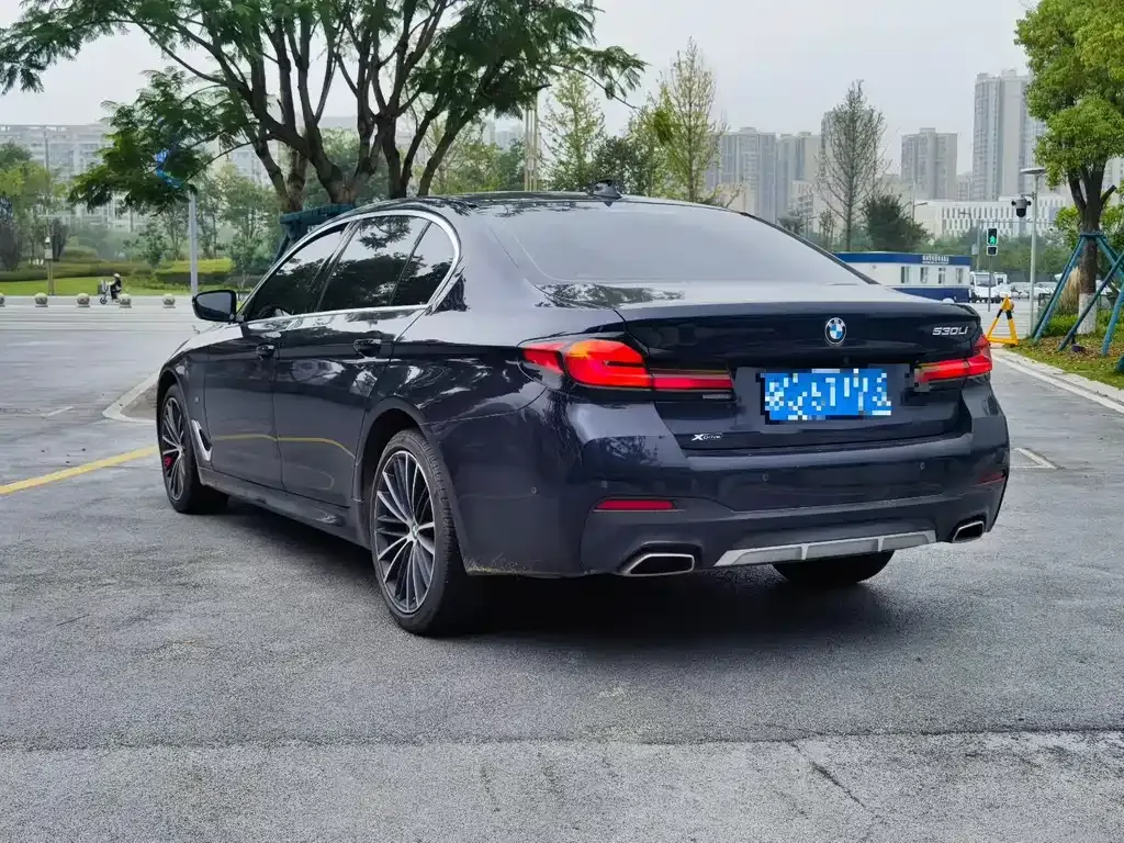 BMW 5 Series 2022 из CN, фото 9