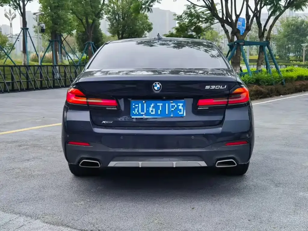 BMW 5 Series 2022 из CN, фото 5