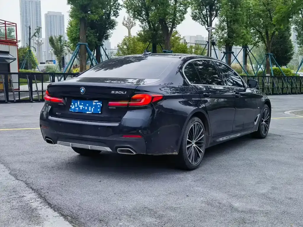BMW 5 Series 2022 из CN, фото 7