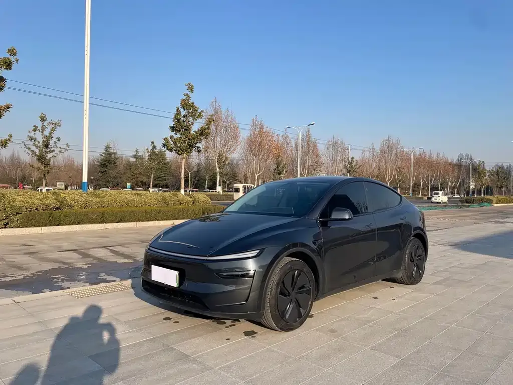 Tesla Model Y 2025 из CN, фото 1