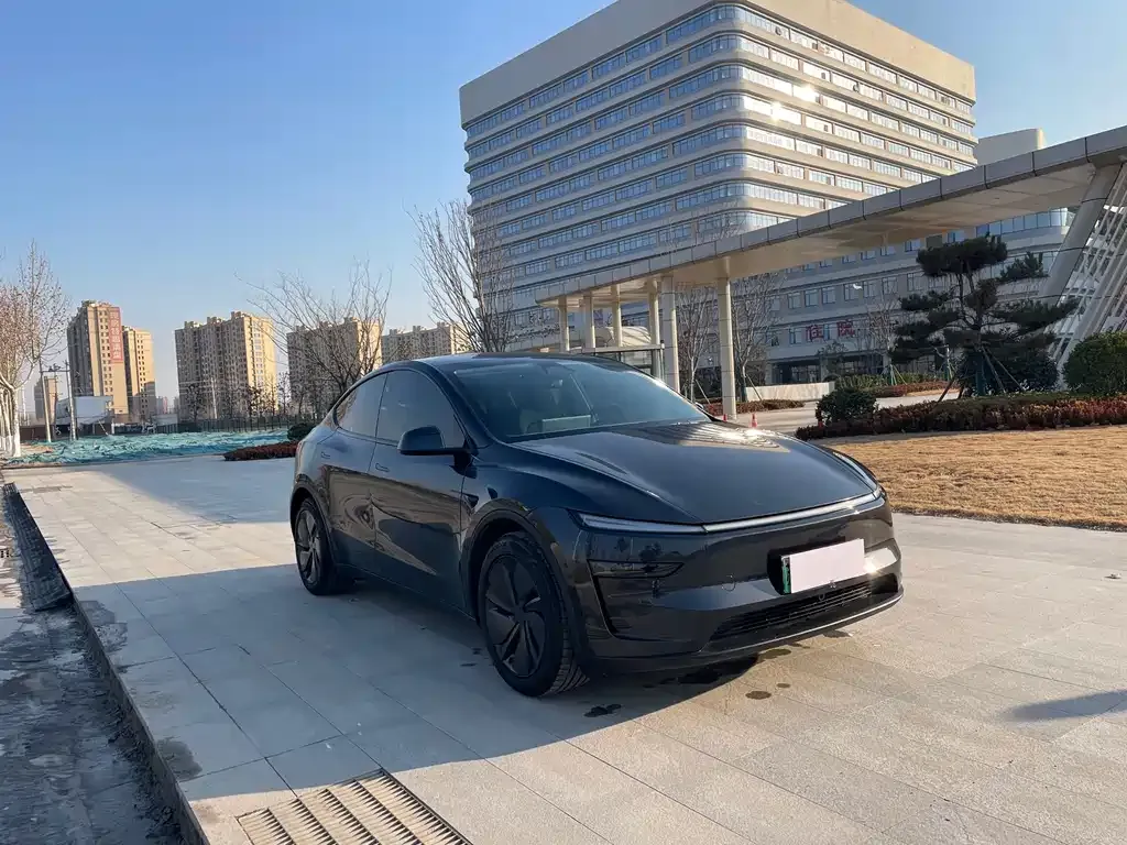 Tesla Model Y 2025 из CN, фото 5