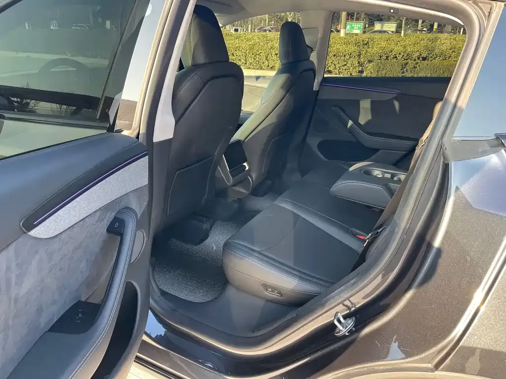 Tesla Model Y 2025 из CN, фото 4