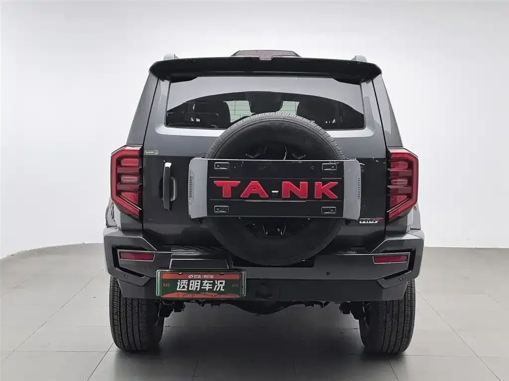 Tank 400 New Energy 2024 из CN, фото 2