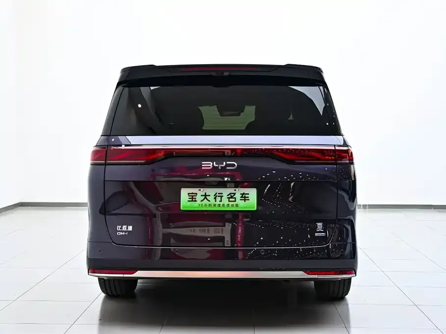 BYD Xia 2025 из CN, фото 3