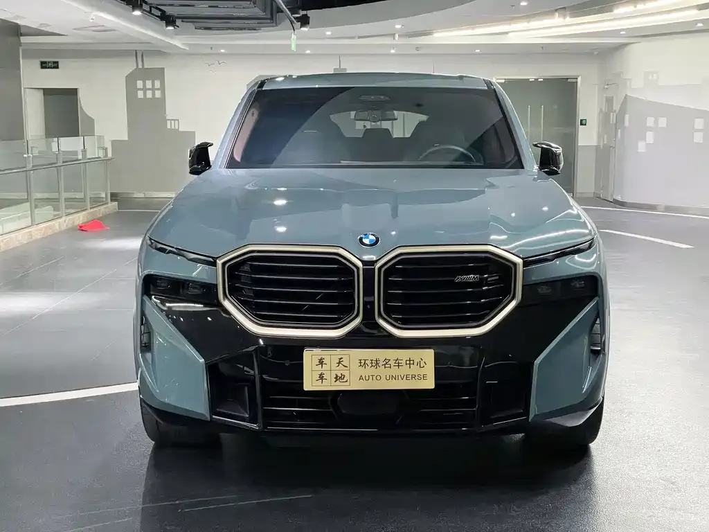 BMW XM 2024 из CN, фото 6