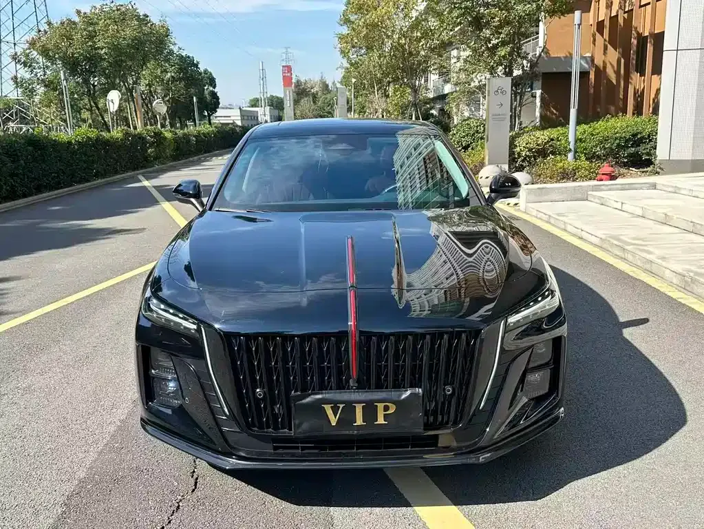 Hongqi H5 2024 из CN, фото 2