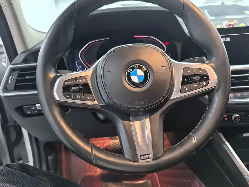 BMW 3 Series 2021 из CN, фото 10