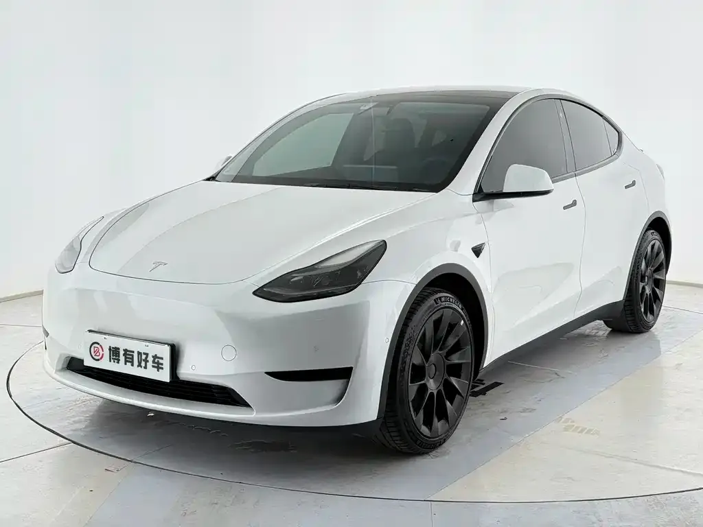 Tesla Model Y — фото 1