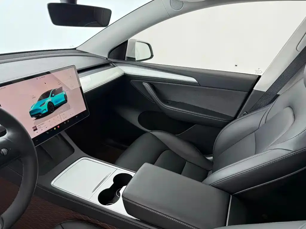 Tesla Model Y — фото 5