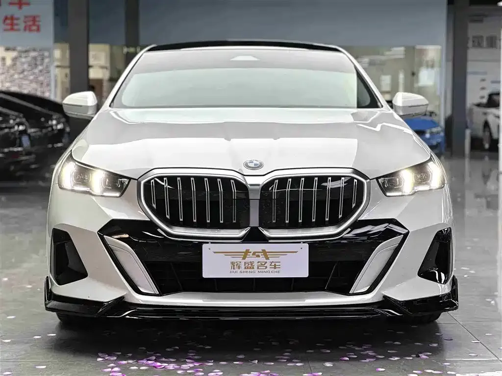 BMW 5 Series 2024 из CN, фото 5