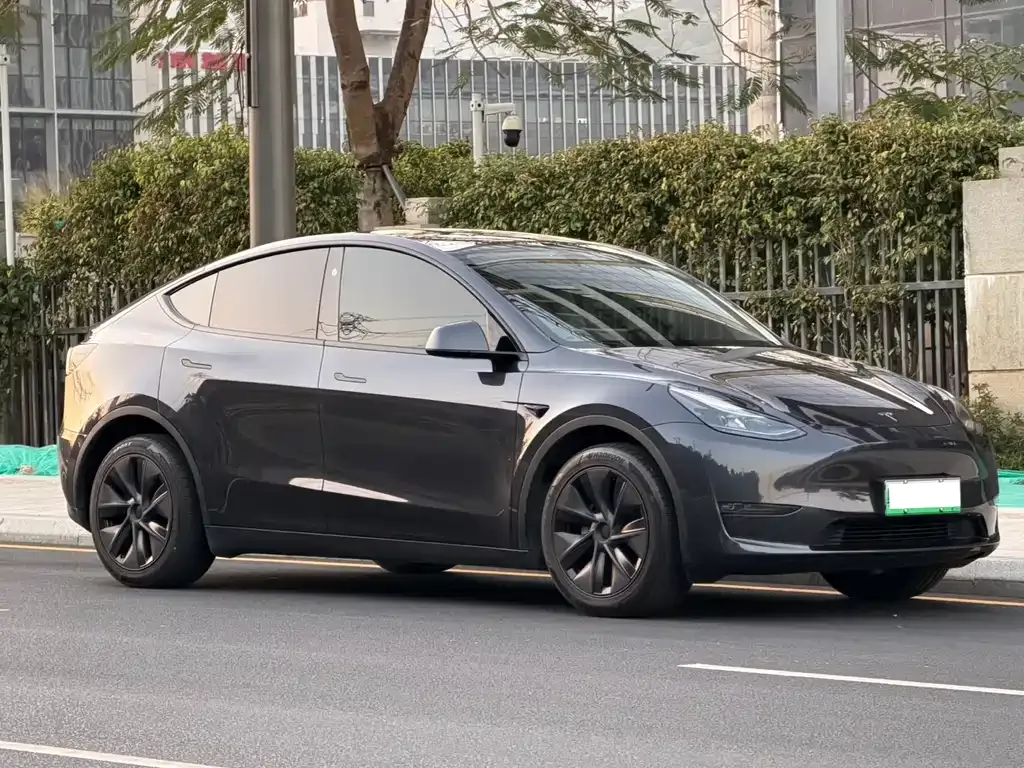 Tesla Model Y 2024 из CN, фото 6