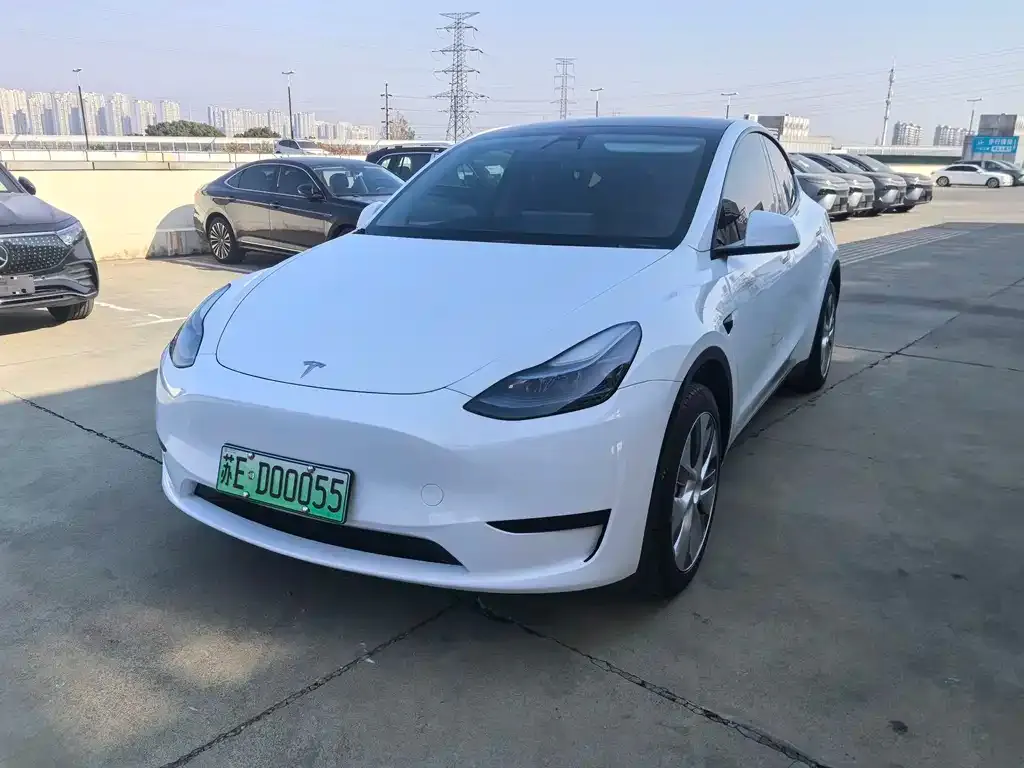 Tesla Model Y 2023 из CN, фото 1