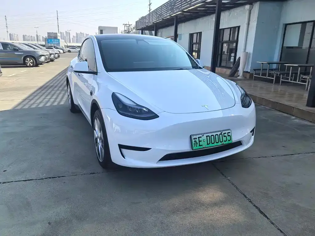 Tesla Model Y 2023 из CN, фото 3